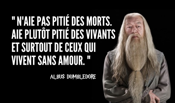 une-dumbledore-1-600x356